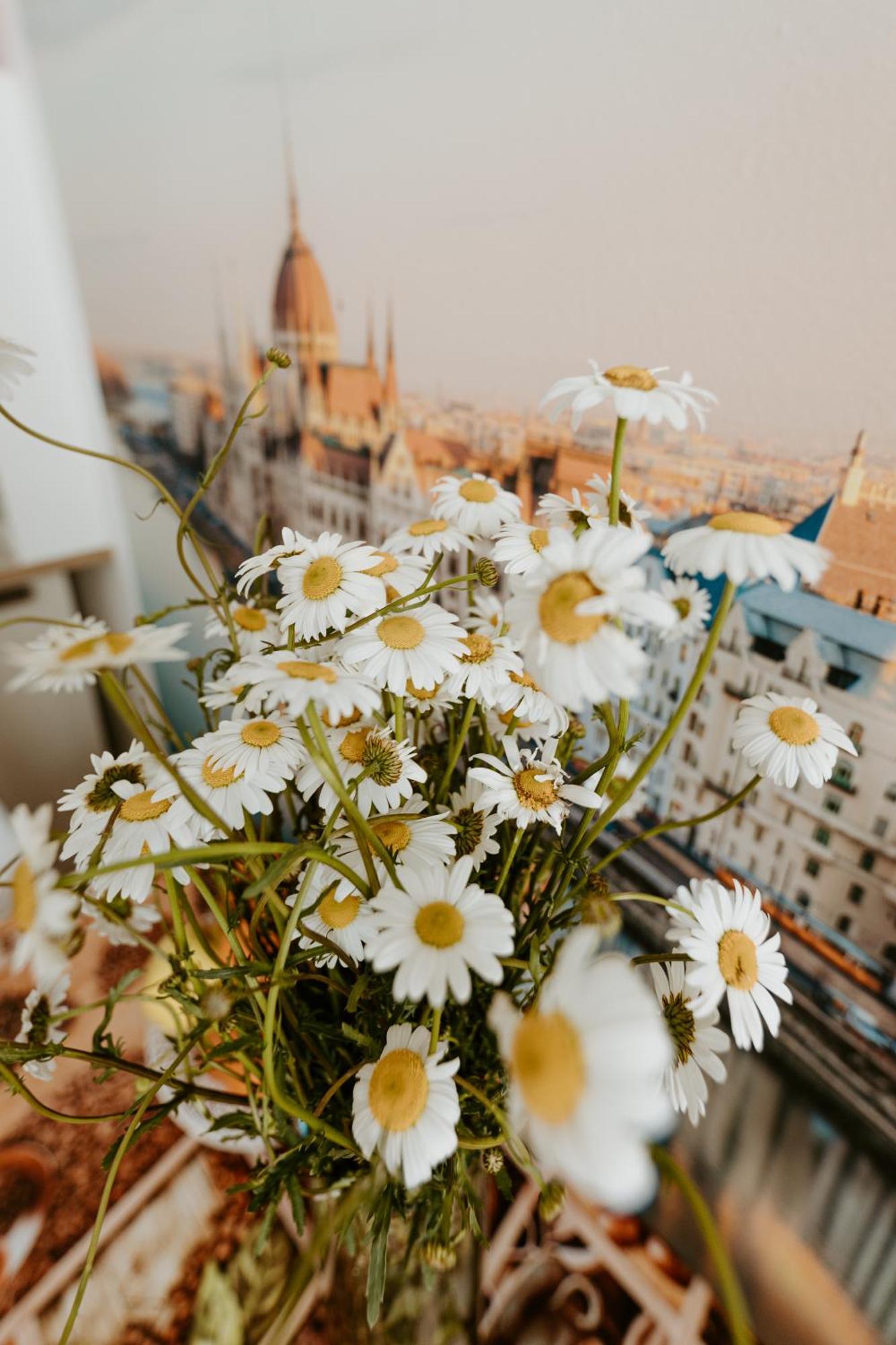 Margaret & Violet Apartments - Peaceful Stay Downtown 부다페스트 외부 사진